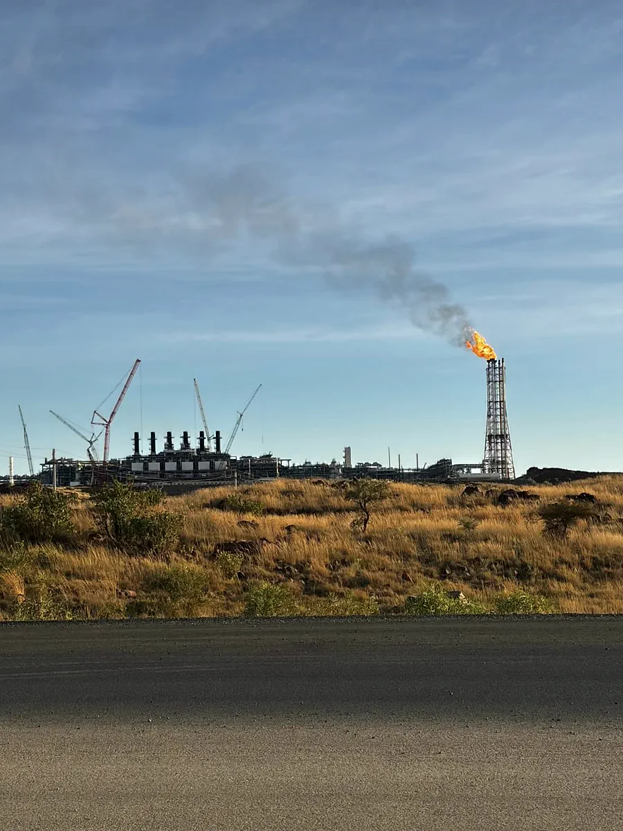 Gas plant flare stack and construction cranes behind spinifex